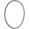 Pentair Pinnacle/superflo Seal Plate O-Ring -GENE Pool Supplies Shop 100863 w MainProductImage Lg