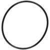 Pentair Superflo/optiflo Lid O-Ring -GENE Pool Supplies Shop 100867 w MainProductImage Lg