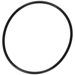 Pentair Superflo/optiflo Lid O-Ring