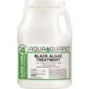 Aquaguard® 8 Lb Powder Black Algaecide Remover -GENE Pool Supplies Shop 117944 MainProductImage Lg