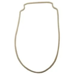 Pentair Whisperflo/intelliflo Pump Body Gasket