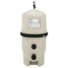 Pentair Pool Filter De Fns Plus 48 Square Feet Fnsp48 -GENE Pool Supplies Shop 123136 MainProductImage Lg