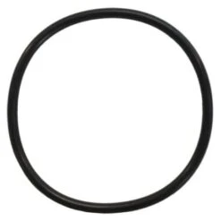 Rainbow Viton Chlorinator Lid O-Ring