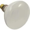 Strybuc Light Bulb -GENE Pool Supplies Shop 303621 MainProductImage Lg