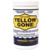 Yellow Gone 2 Lb Fast Acting Pool Cleanup For Green And Mustard Algae -GENE Pool Supplies Shop 324378 MainProductImage Lg