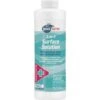 Pool Time 32 Oz 3-In-1 Surface Solution Cleaner -GENE Pool Supplies Shop TMP101149 MainProductImage Lg